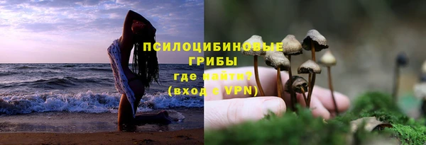 mix Арсеньев